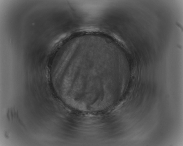 X0000091501398200709131841