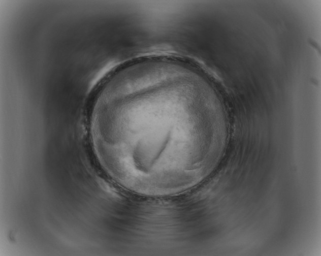 X0000091501400200709131841