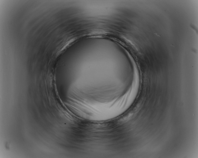 X0000091501401200709131841