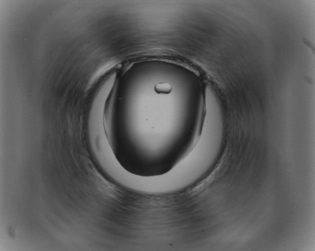 X0000091501402200709131841