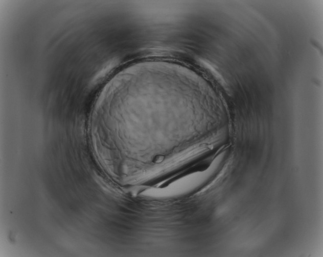 X0000091501403200709131841