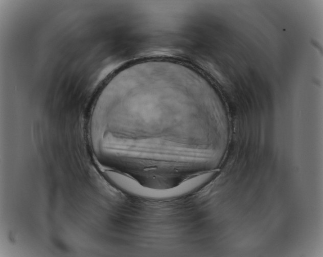 X0000091501404200709131841