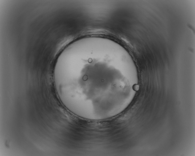 X0000091501405200709131841