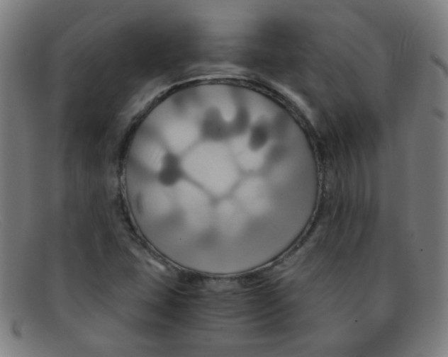 X0000091501407200709131841