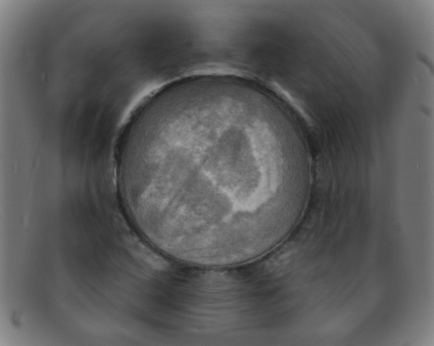 X0000091501408200709131841