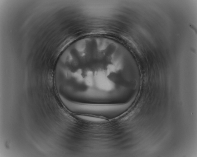 X0000091501409200709131841