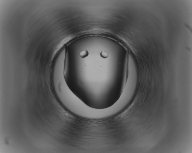 X0000091501410200709131841