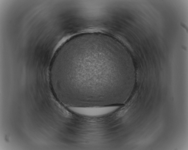 X0000091501412200709131841