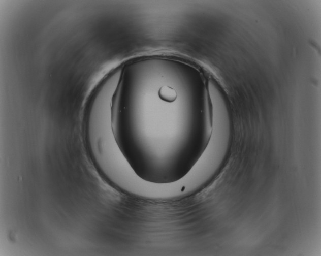 X0000091501414200709131841