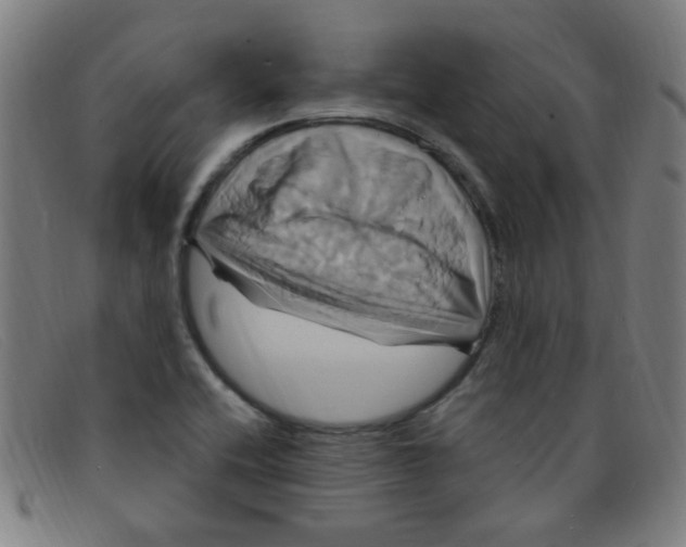 X0000091501416200709131841