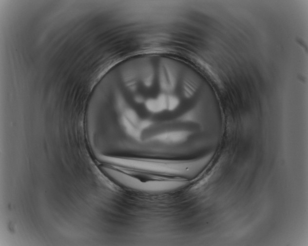 X0000091501417200709131841