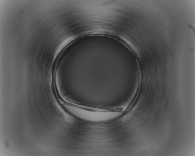 X0000091501418200709131841