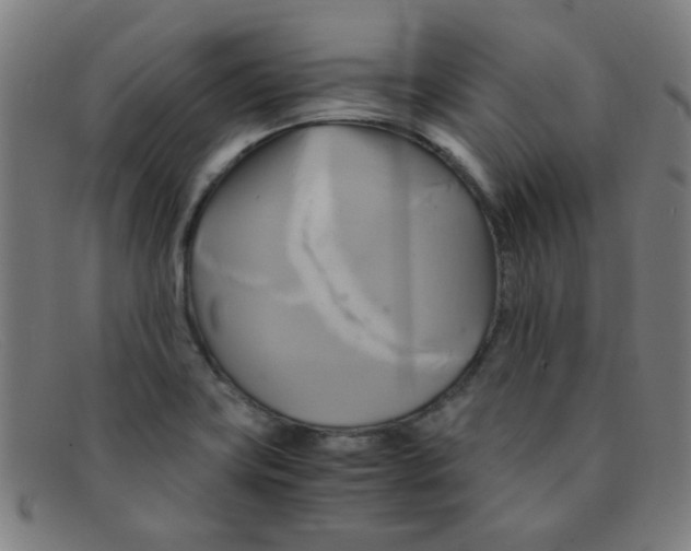 X0000091501419200709131841