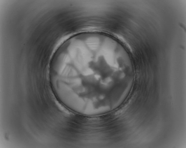 X0000091501421200709131841