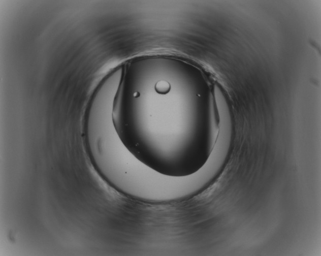 X0000091501422200709131841