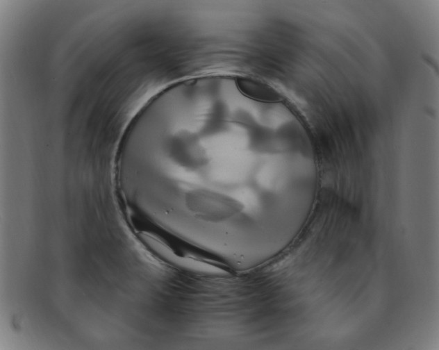 X0000091501423200709131841