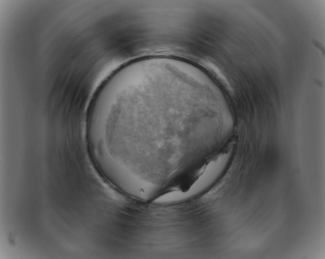 X0000091501424200709131841