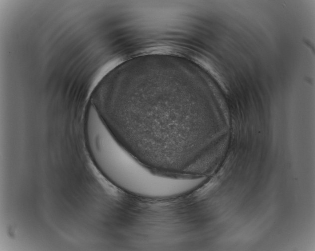 X0000091501426200709131841