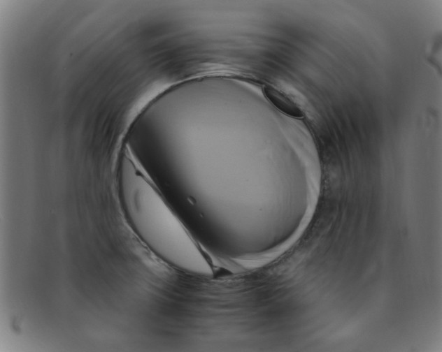 X0000091501427200709131841