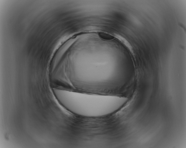 X0000091501429200709131841