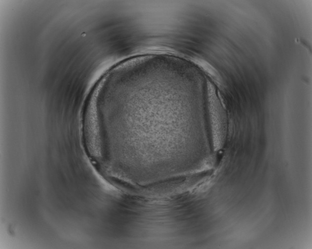 X0000091501430200709131841