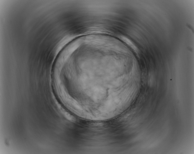 X0000091501431200709131841