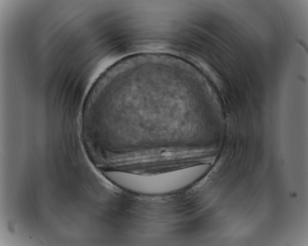 X0000091501432200709131841