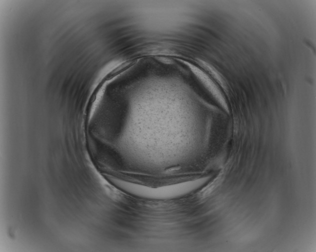 X0000091501434200709131841