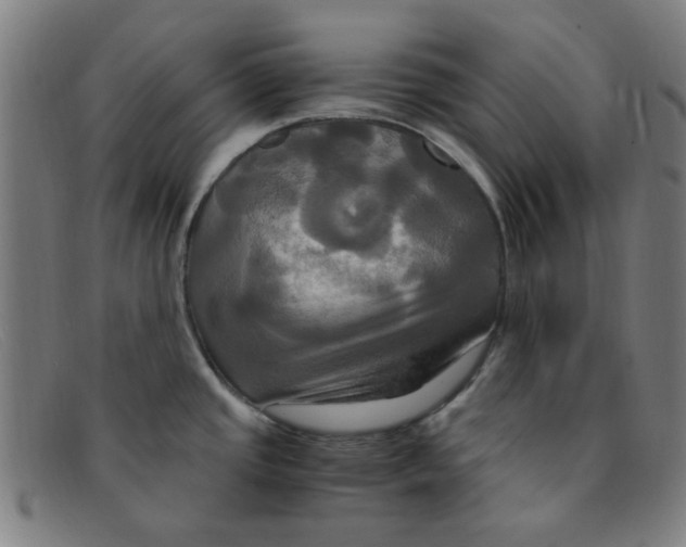 X0000091501437200709131841