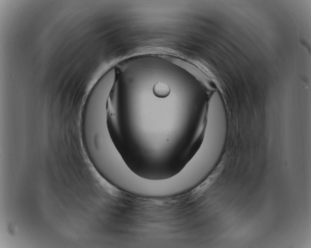 X0000091501438200709131841