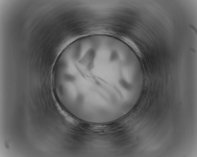 X0000091501439200709131841