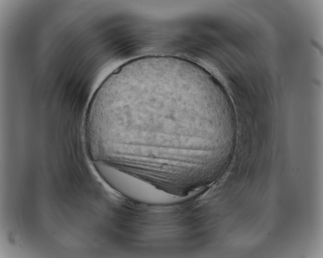 X0000091501440200709131842