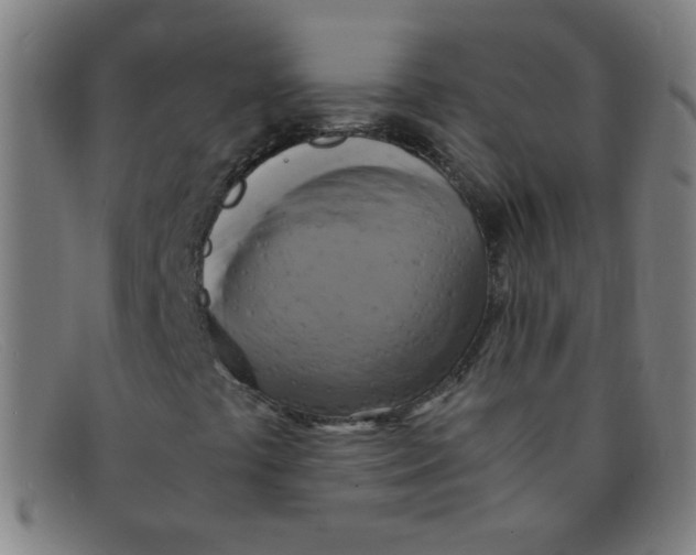 X0000091501441200709131841