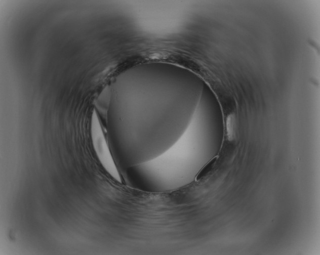 X0000091501443200709131841