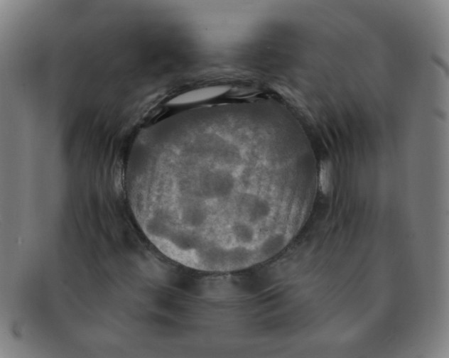 X0000091501444200709131841