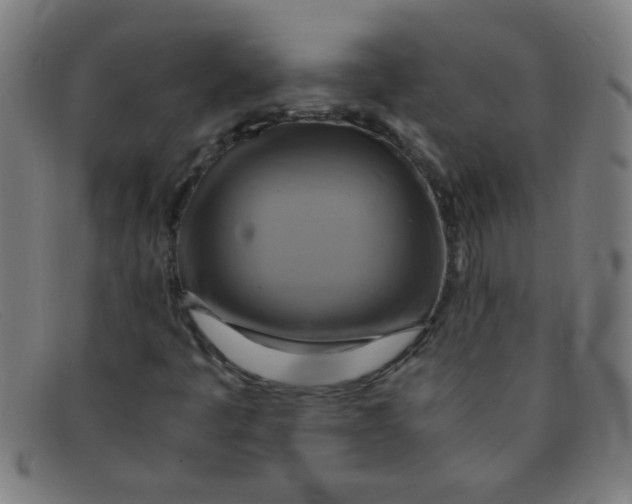 X0000091501445200709131841