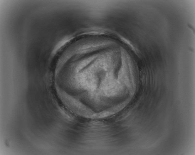 X0000091501448200709131841