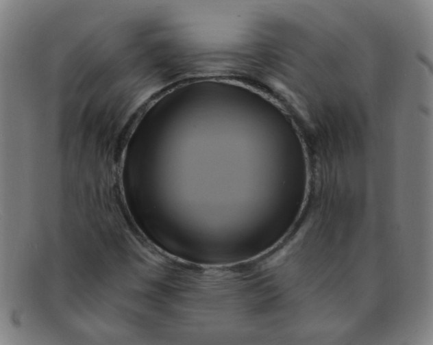 X0000091501449200709131841