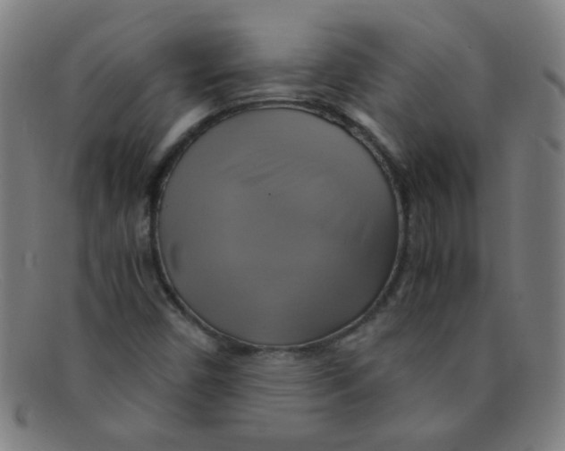 X0000091501450200709131841