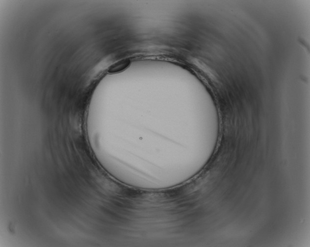 X0000091501451200709131841