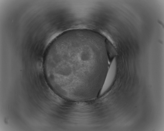 X0000091501452200709131841