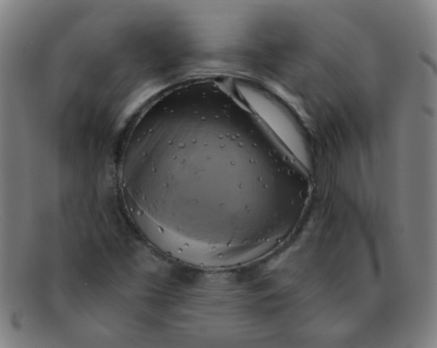 X0000091501453200709131841