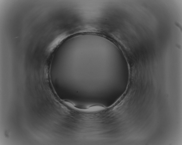 X0000091501455200709131841