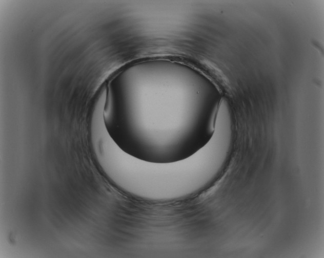 X0000091501457200709131841