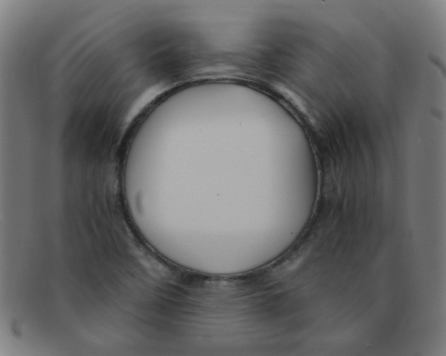 X0000091501458200709131841