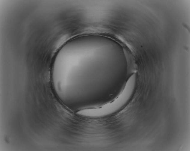 X0000091501459200709131841