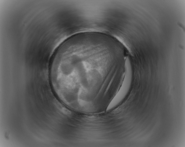 X0000091501460200709131841