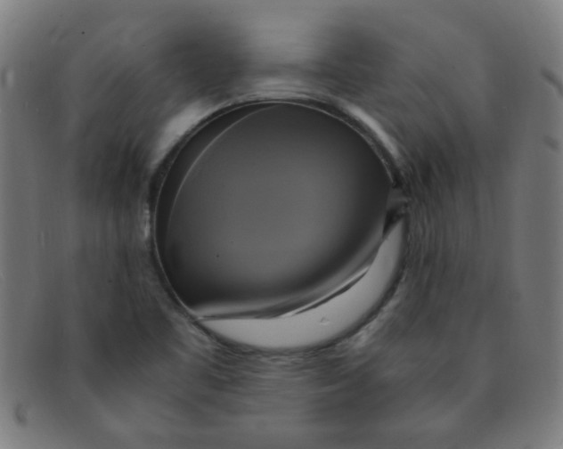 X0000091501461200709131841