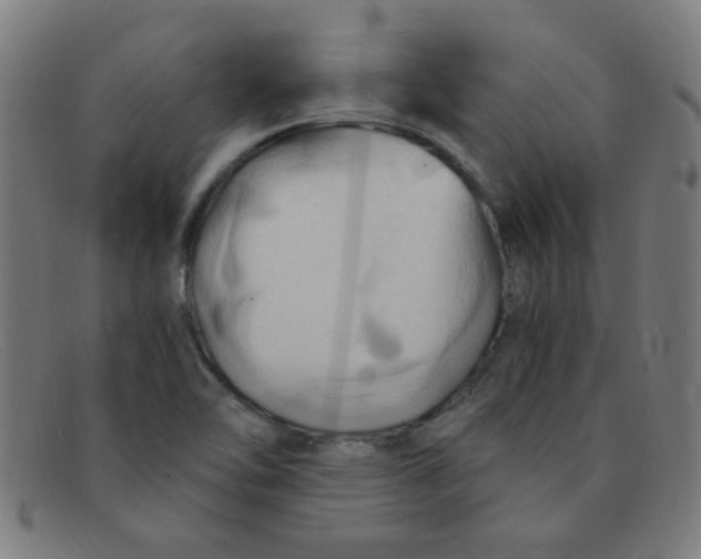 X0000091501462200709131841