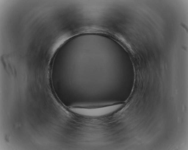 X0000091501463200709131841